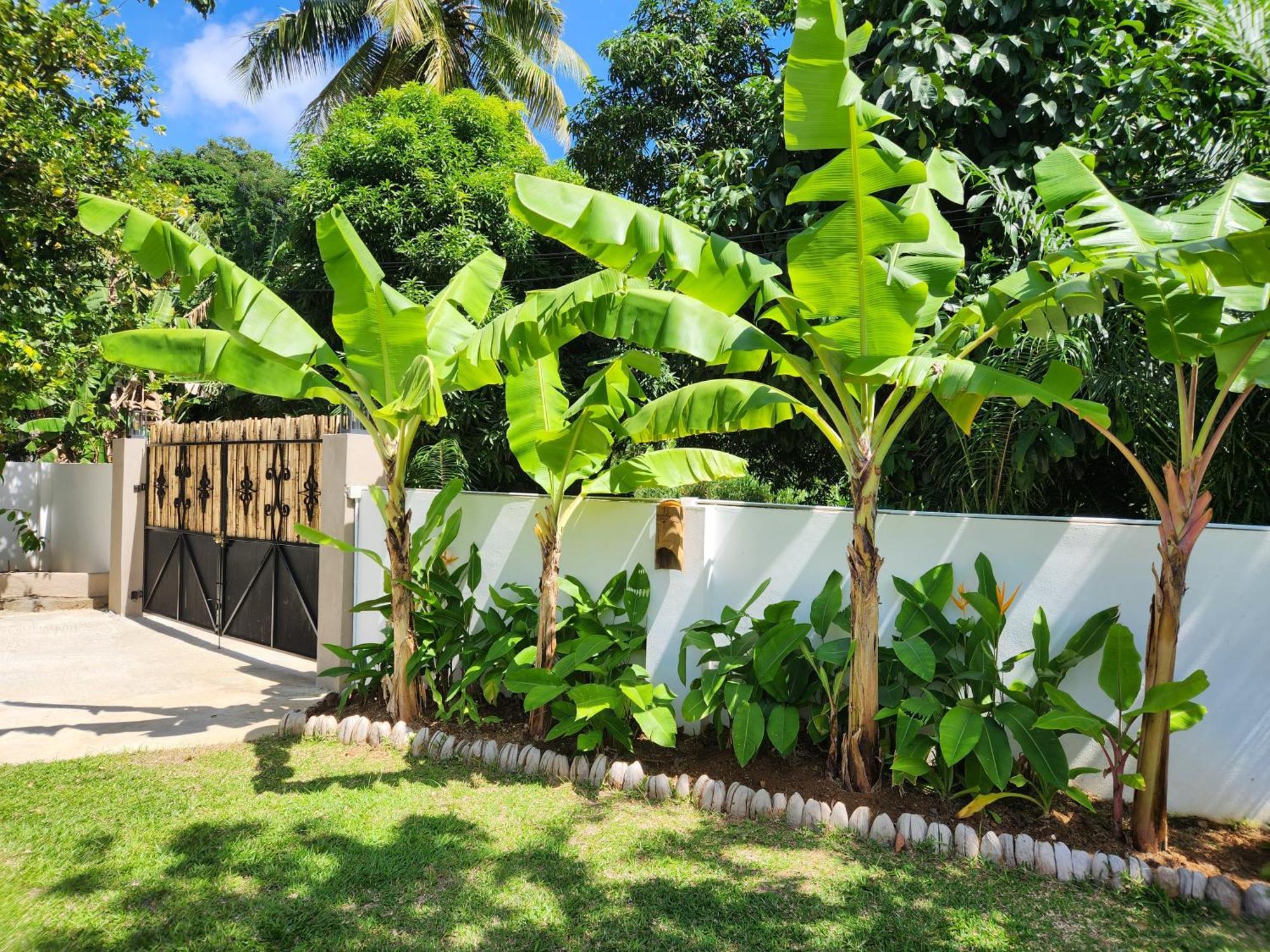 Kaz Memel Villa Beau Vallon  Buitenkant foto