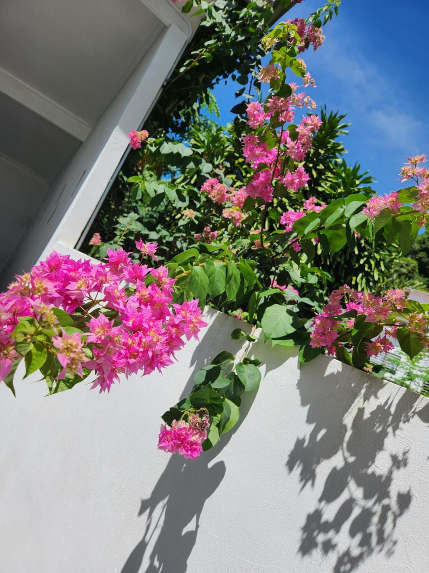 Kaz Memel Villa Beau Vallon  Buitenkant foto