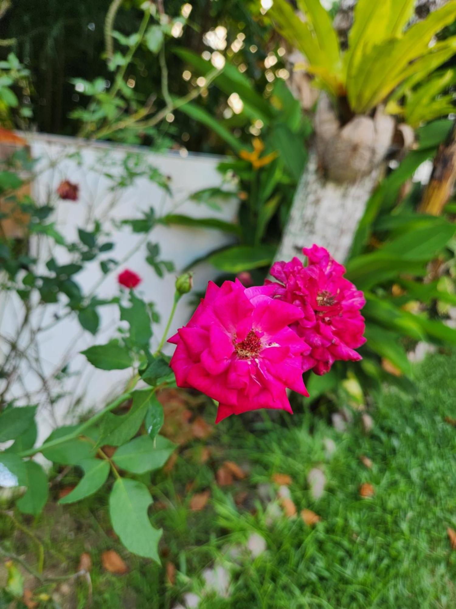 Kaz Memel Villa Beau Vallon  Buitenkant foto