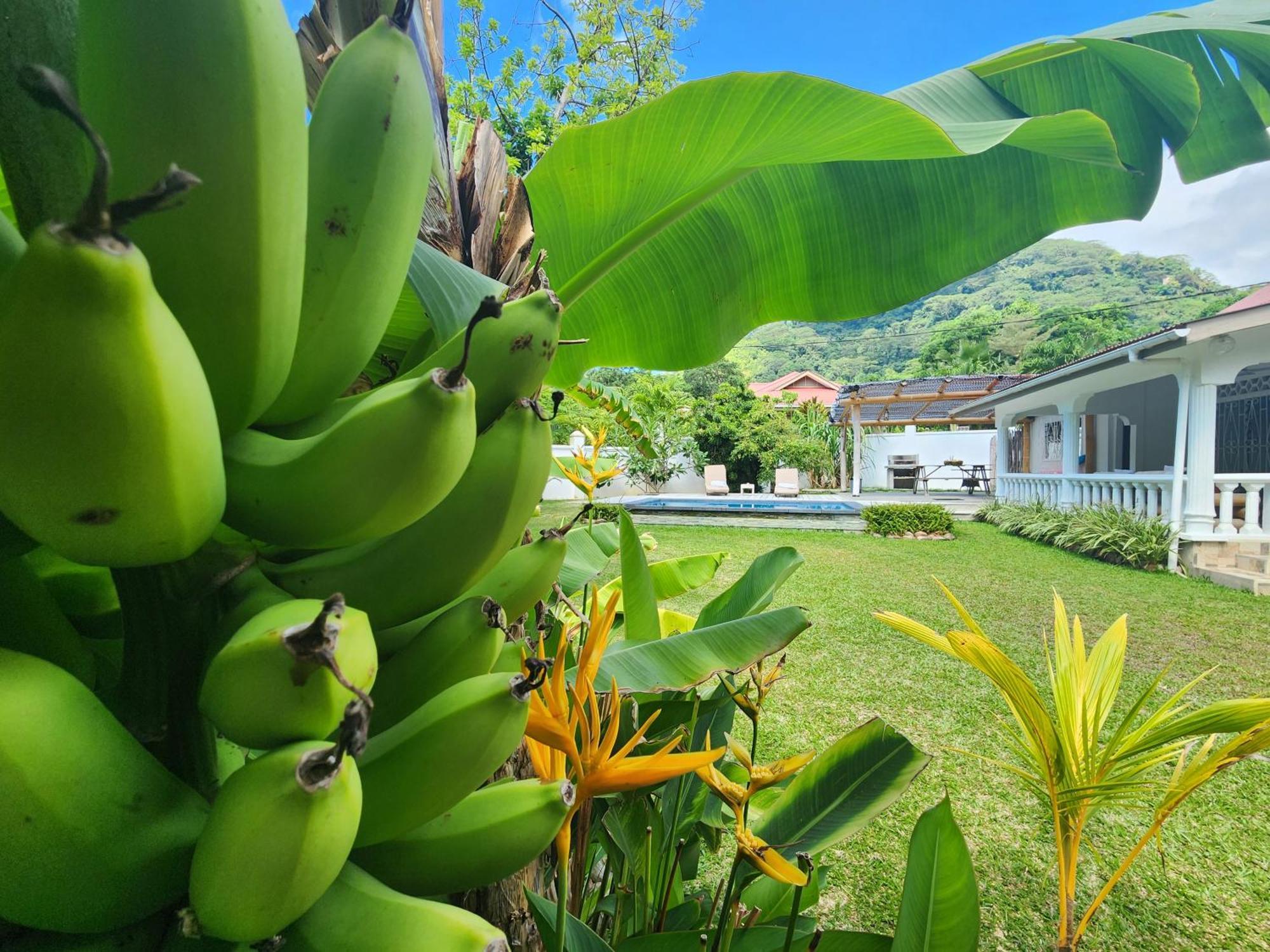 Kaz Memel Villa Beau Vallon  Buitenkant foto